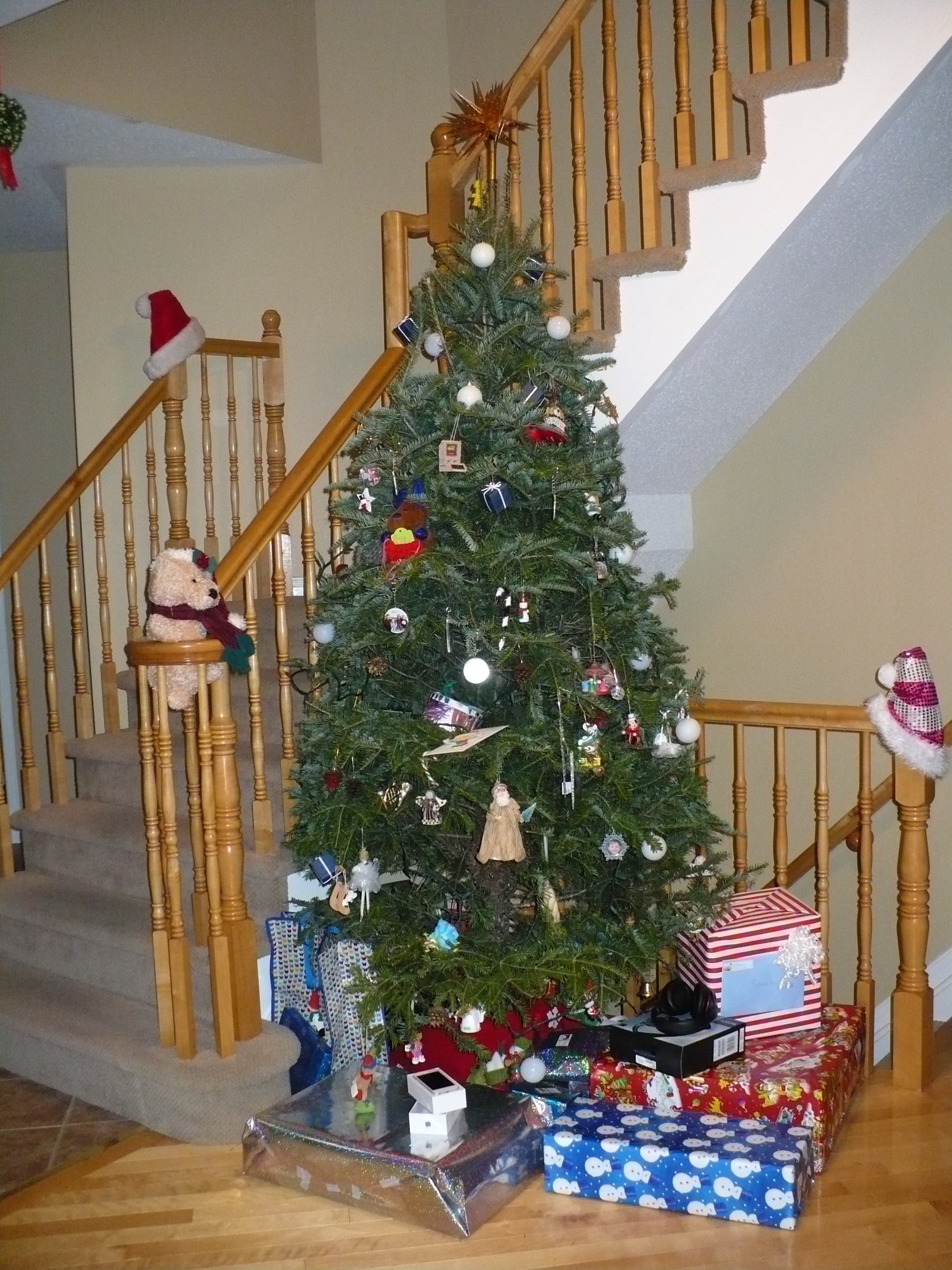 p1100472 | the rand family